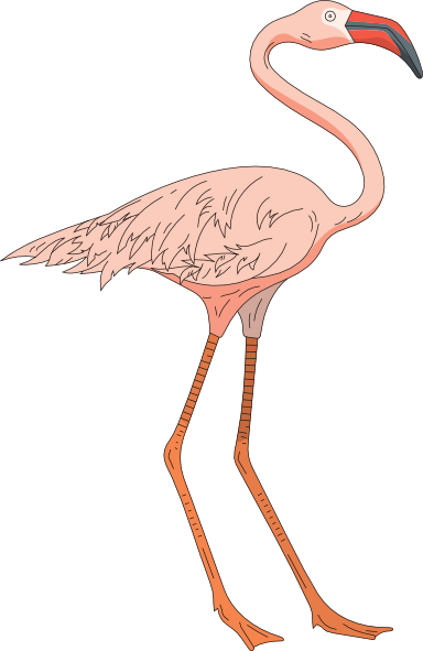 Pink Flamingo Clip Art Free Cliparts And Others Art - Flamingos (384x591), Png Download