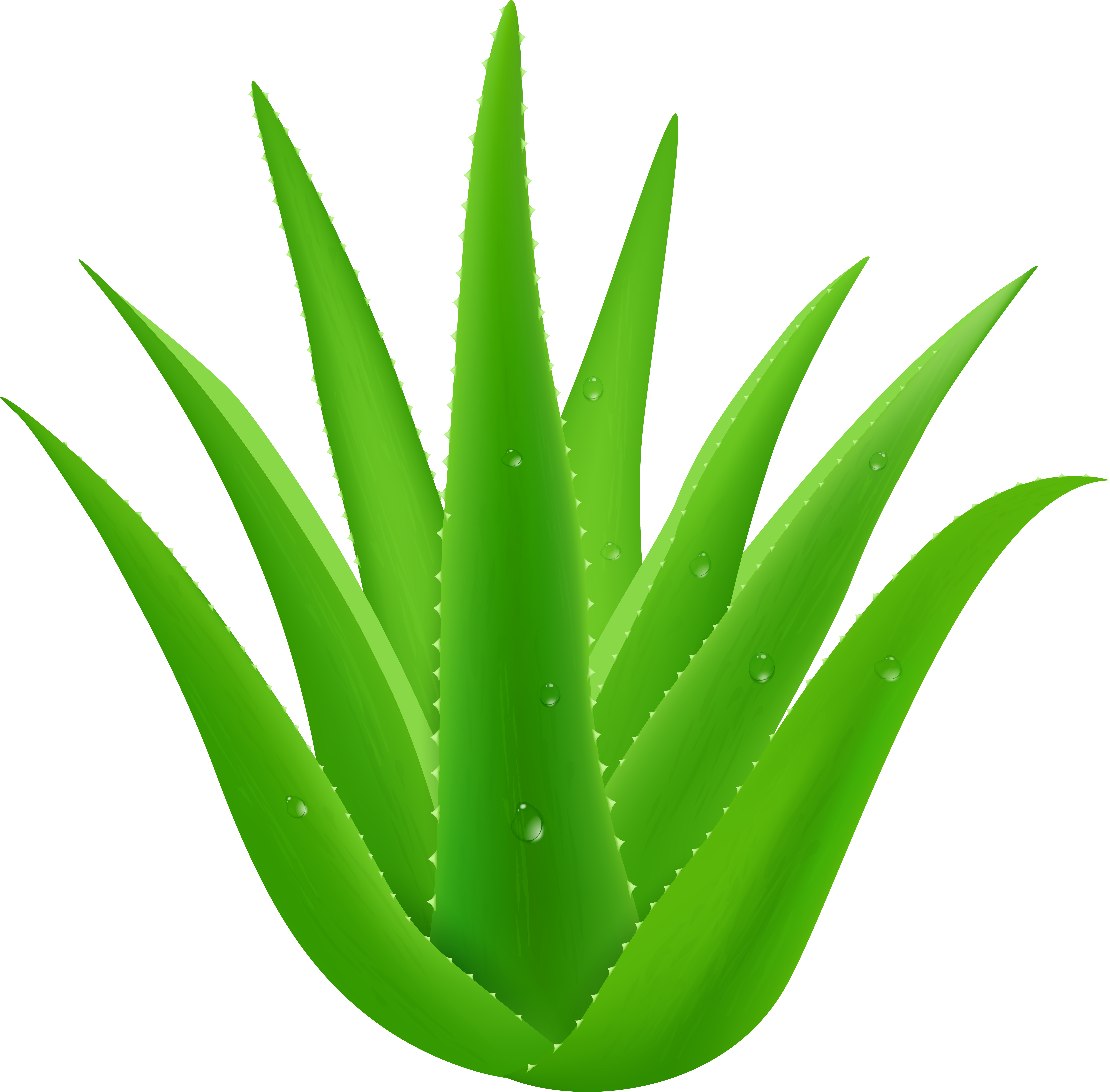 View Full Size (8000x7874), Png Download