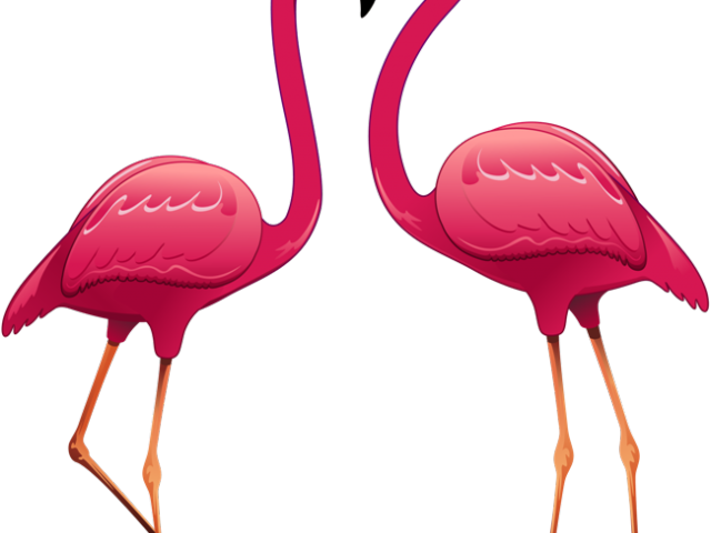 Flamingo Clipart Pink Parrot - Wall Stickers (640x480), Png Download