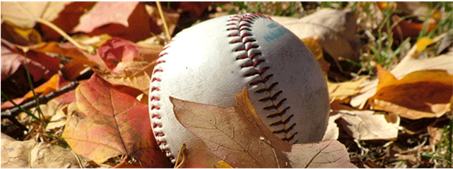 Fall Ball - Best Athlete Is Made During The Off Season (640x300), Png Download