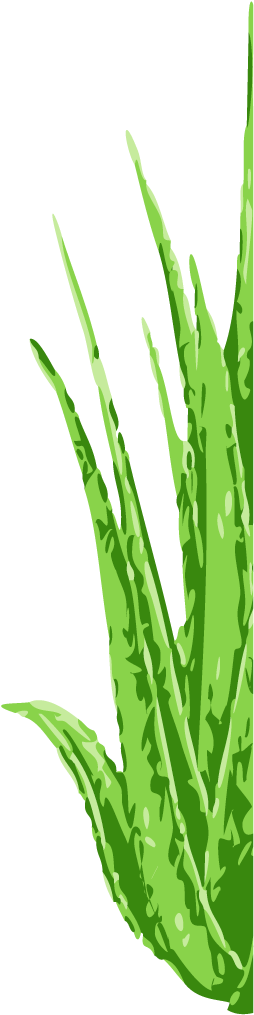 Eng - Swe - Logo Shampoo Aloe Vera (270x1030), Png Download