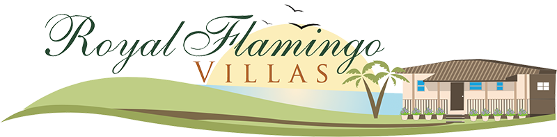 Royal Flamingo Villas (800x198), Png Download