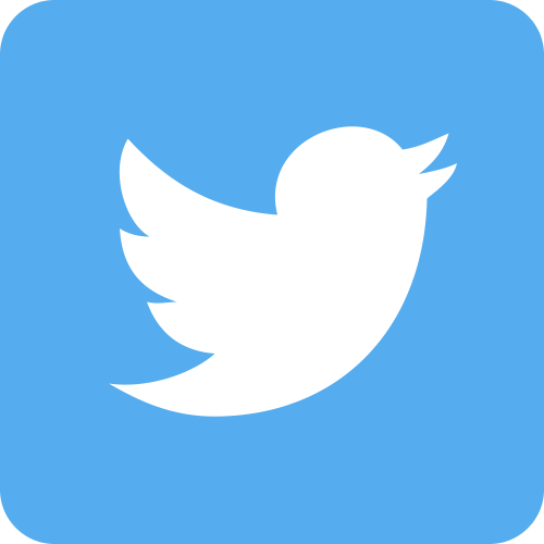 Icono Oficial De Twitter - Png Format Twitter Logo Transparent Png (500x500), Png Download