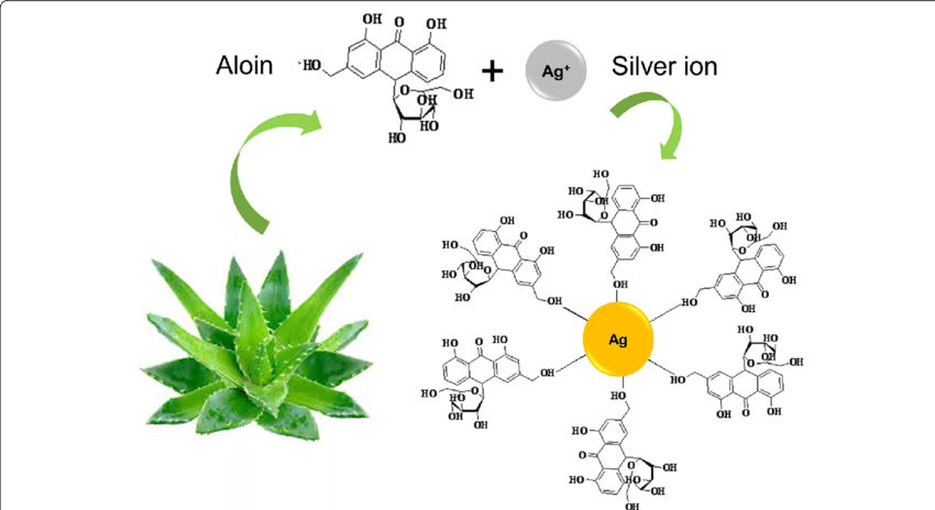 The Chemistry Involved In The Synthesis Of Agnp Using - Aloe Vera Silver Nanoparticles (850x464), Png Download