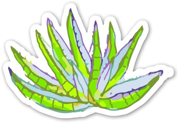 Aloe Vera Sticker - Aloe Vera (600x424), Png Download