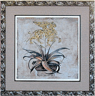 Aloe Vera I Picture - Motif (648x432), Png Download