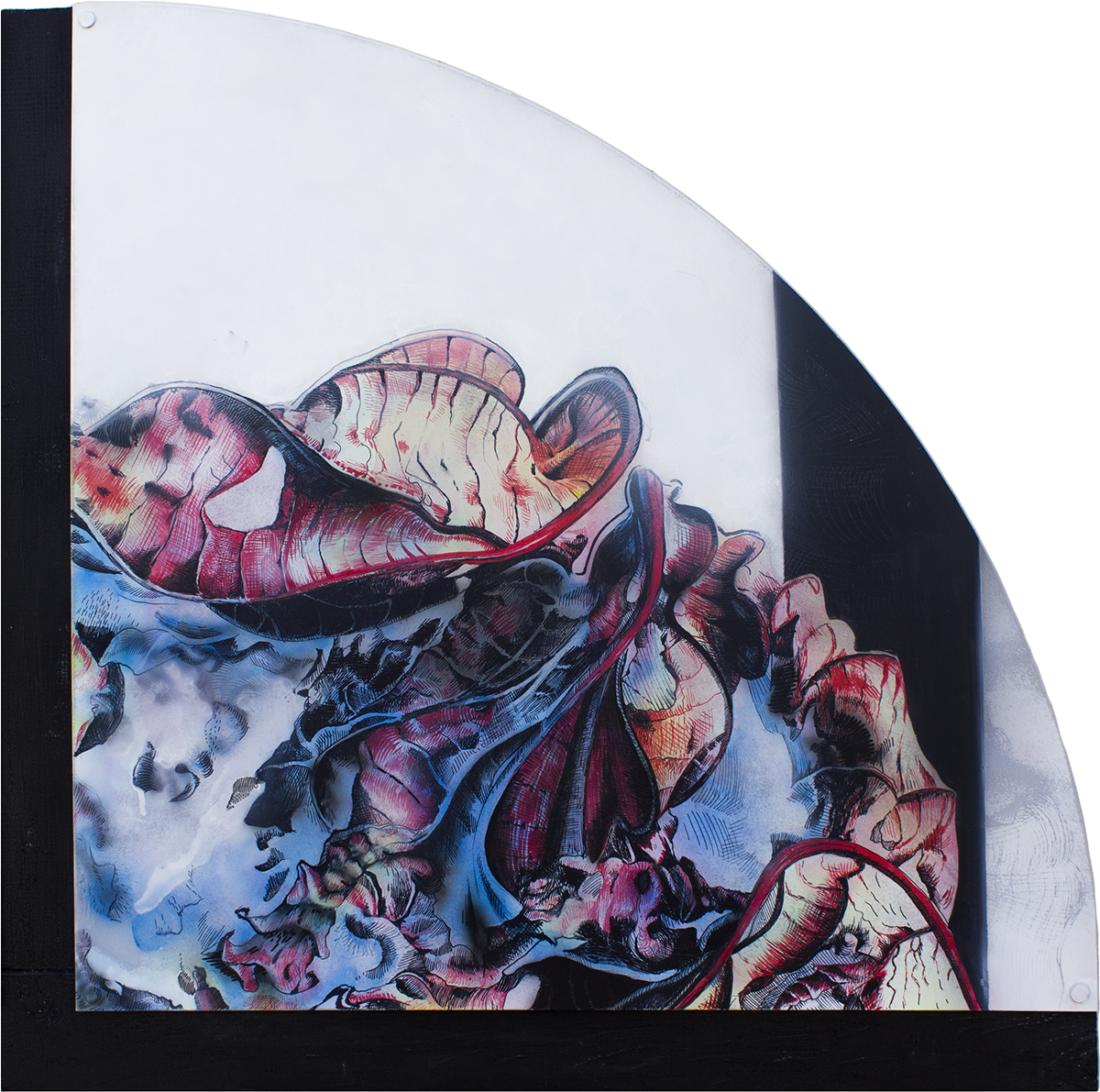 Thank You - Still Life (1200x1200), Png Download