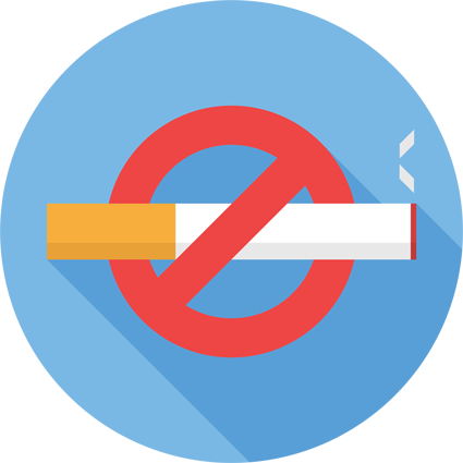 No Smoking Sign - No Smoking Logo Png (425x425), Png Download
