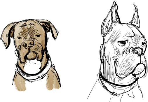 Abandon Bonus Page - Draw A Boxer Dog Face (551x354), Png Download