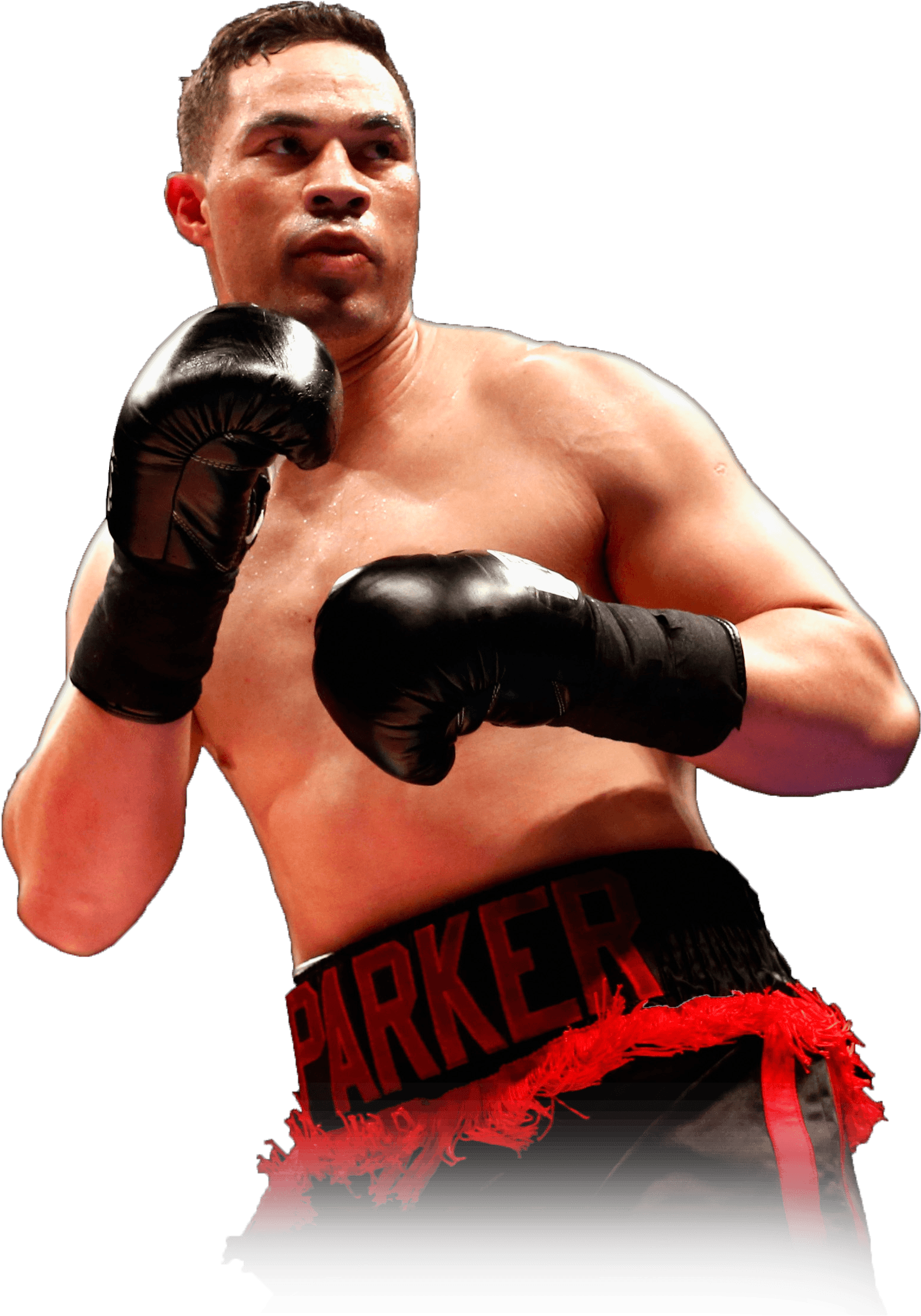 Svg Royalty Free Stock Fighter Clipart Professional - Photography (1634x2598), Png Download