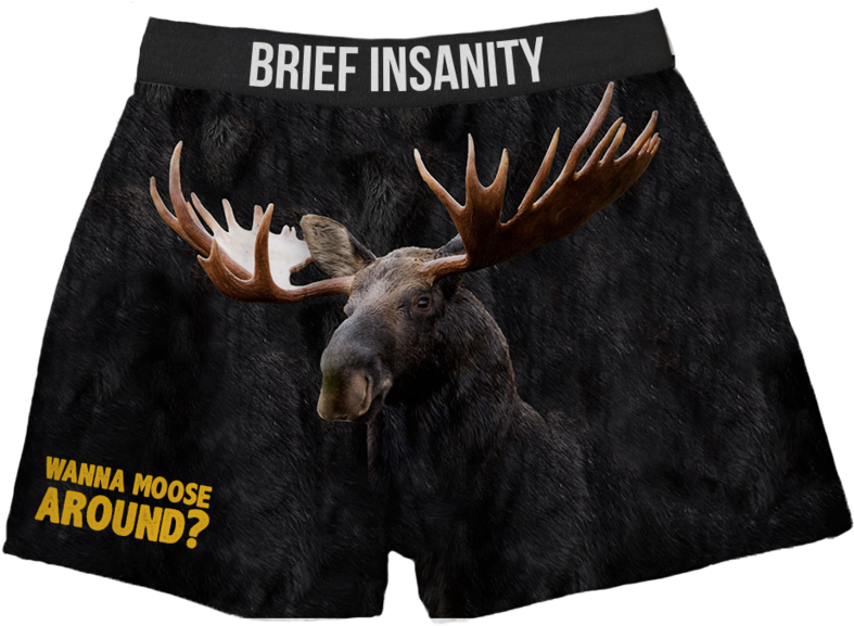 Moose Boxer Shorts Wanna Moose Around - Elche 2018, Elche 2018 (buch) Kalender (1024x649), Png Download