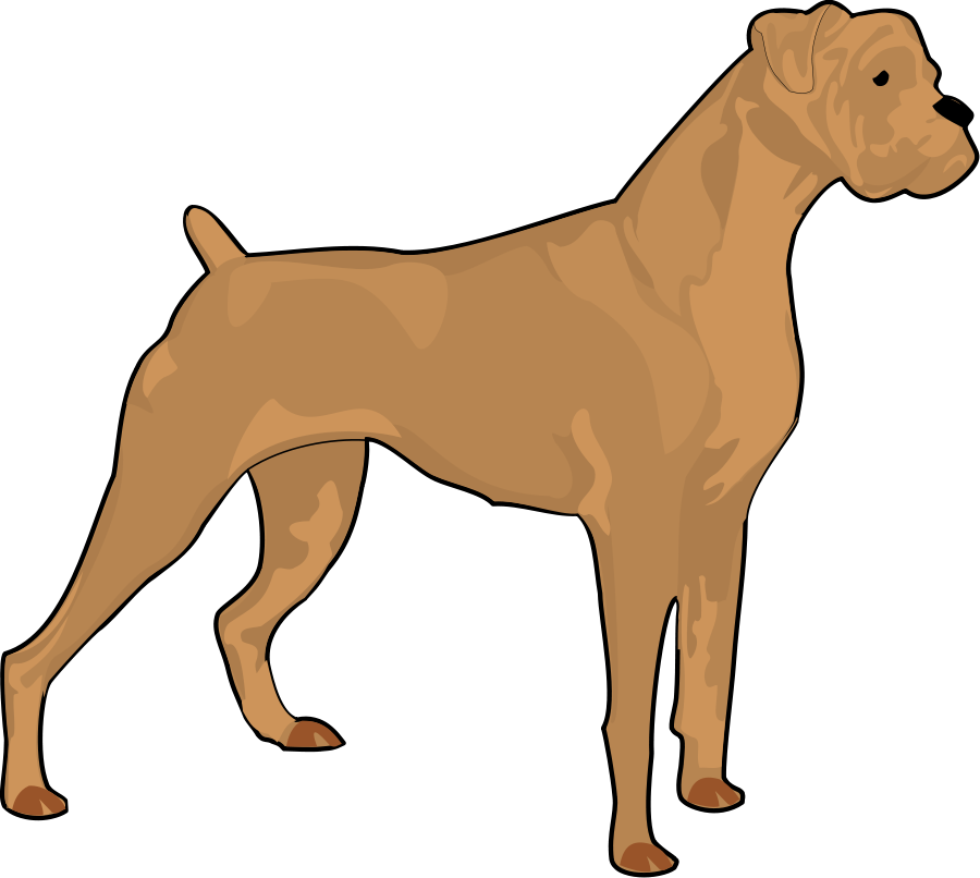How To Set Use Boxer Clipart (900x806), Png Download