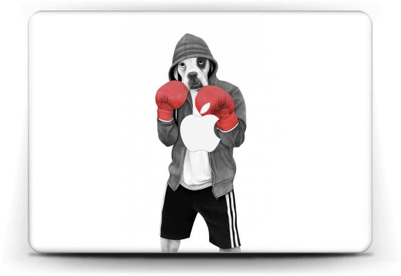 Street Boxer - Sanna Wieslander Art Street Boxer Illustration (a4) (800x562), Png Download