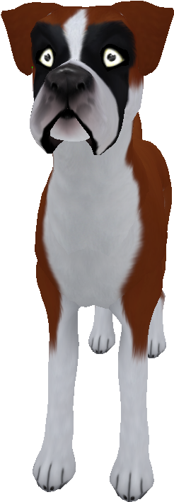 Boxer Standard Red - Boxer (589x834), Png Download
