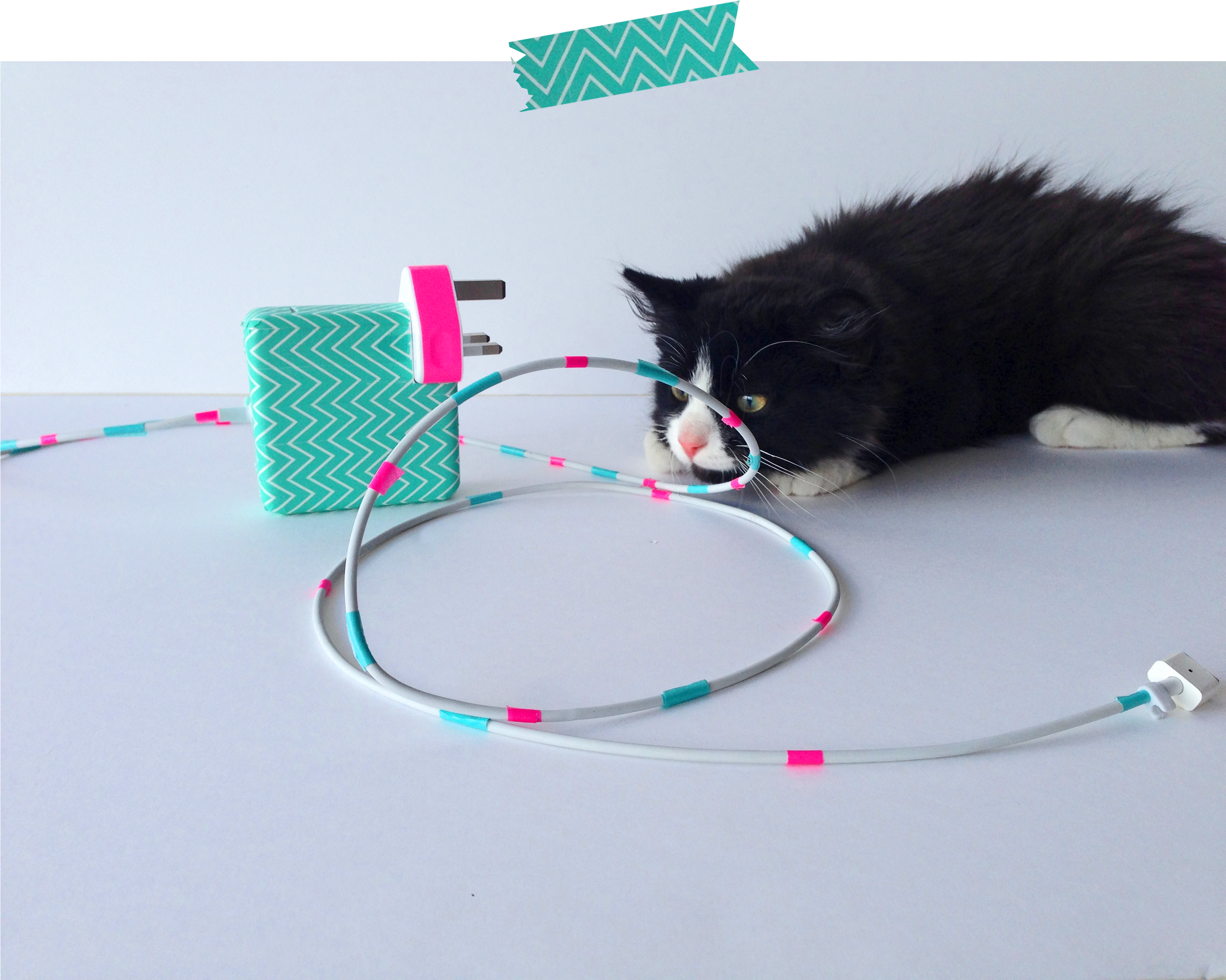 Washi Tepe Charger - Washi (3264x2448), Png Download