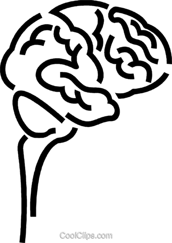 Human Brain Royalty Free Vector Clip Art Illustration - Cerebro Png Vector (341x480), Png Download