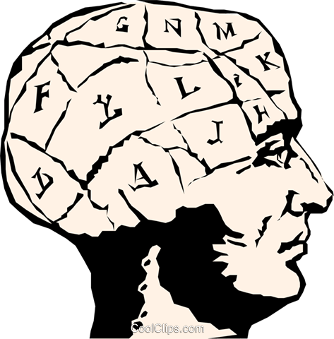 Human Brain Royalty Free Vector Clip Art Illustration - Brain Clipart (473x480), Png Download