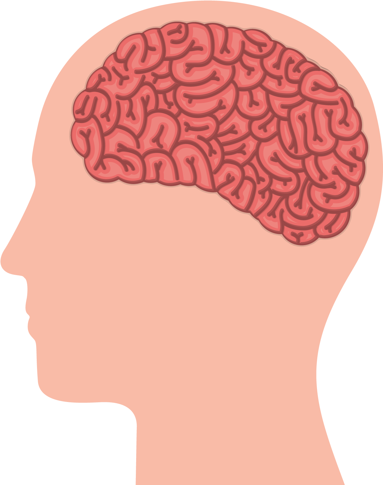 Working Vector Human Brain Svg Transparent - Human Brain (2263x2529), Png Download