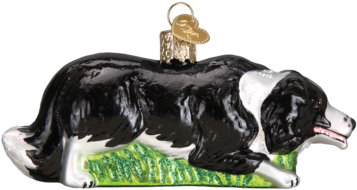 Herding Border Collie Ornament - Dachshund (387x387), Png Download