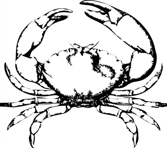 Crab Images Free Chesapeake Blue Crab Red King Crab - Crab Clip Art (678x600), Png Download