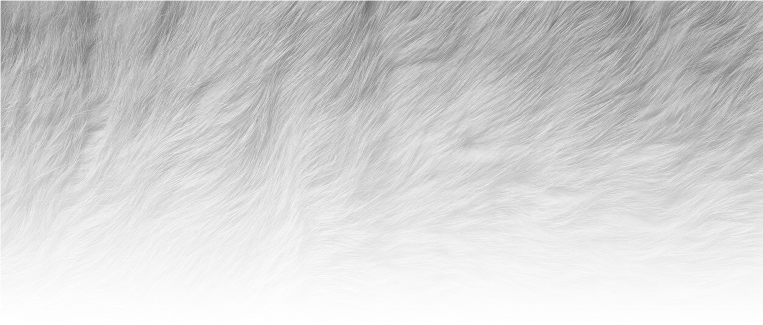 Countryside Animal Hospital - Tales Of Three Hemispheres [book] (1500x649), Png Download