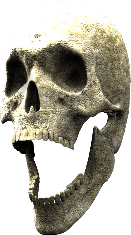Here Is The 3d Skull To Finish Your Composite - Skull (1152x864), Png Download