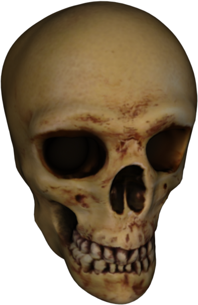 Skull (640x640), Png Download