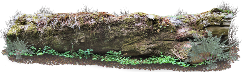 Giant By Aledjonesdigitalart Deviantart - Log With Moss Png (1024x314), Png Download