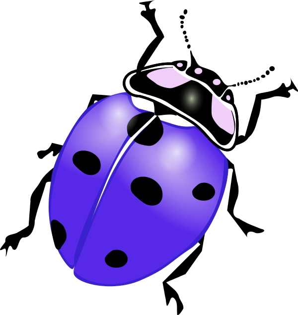 Ladybug Clipart Purple - Ladybird Black And White (600x634), Png Download