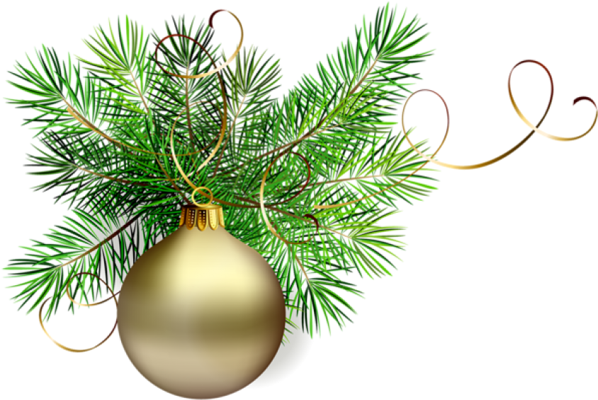 Gallery Christmas Png - English Springer Spaniel Greeting Cards (600x412), Png Download