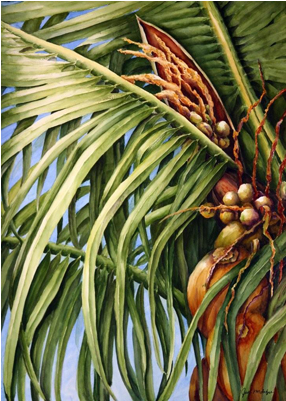 Pond Pine (600x400), Png Download