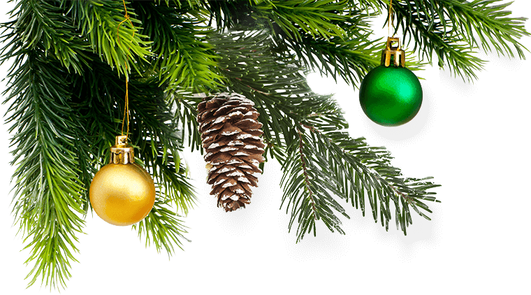 Parent Directory - Елка И Мандарины Пнг (760x422), Png Download