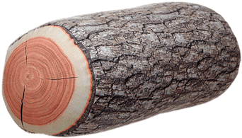 Log Pillow - Wooden Log Style Neck Pillow (400x400), Png Download