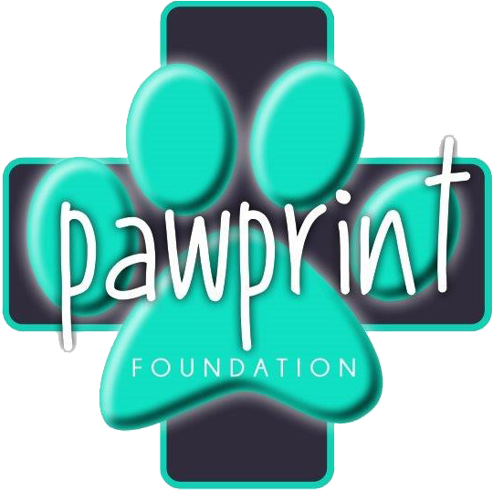 Paw Print - Dog (546x546), Png Download