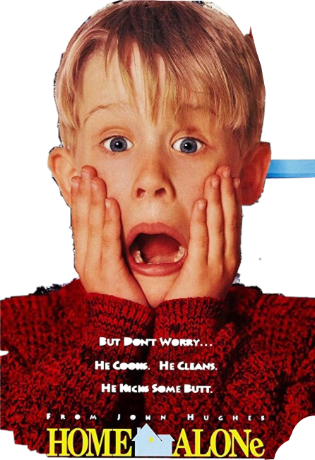 Kevin Of Home Alone 2 Now (446x652), Png Download