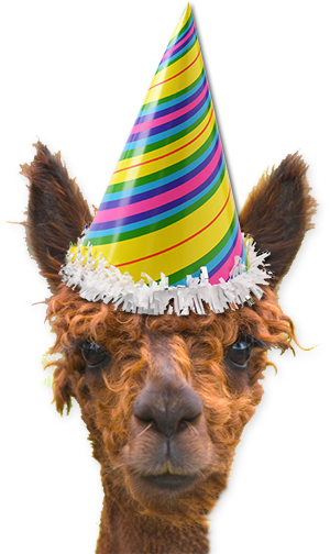 Fl Party Hat - Llama With A Party Hat (300x504), Png Download