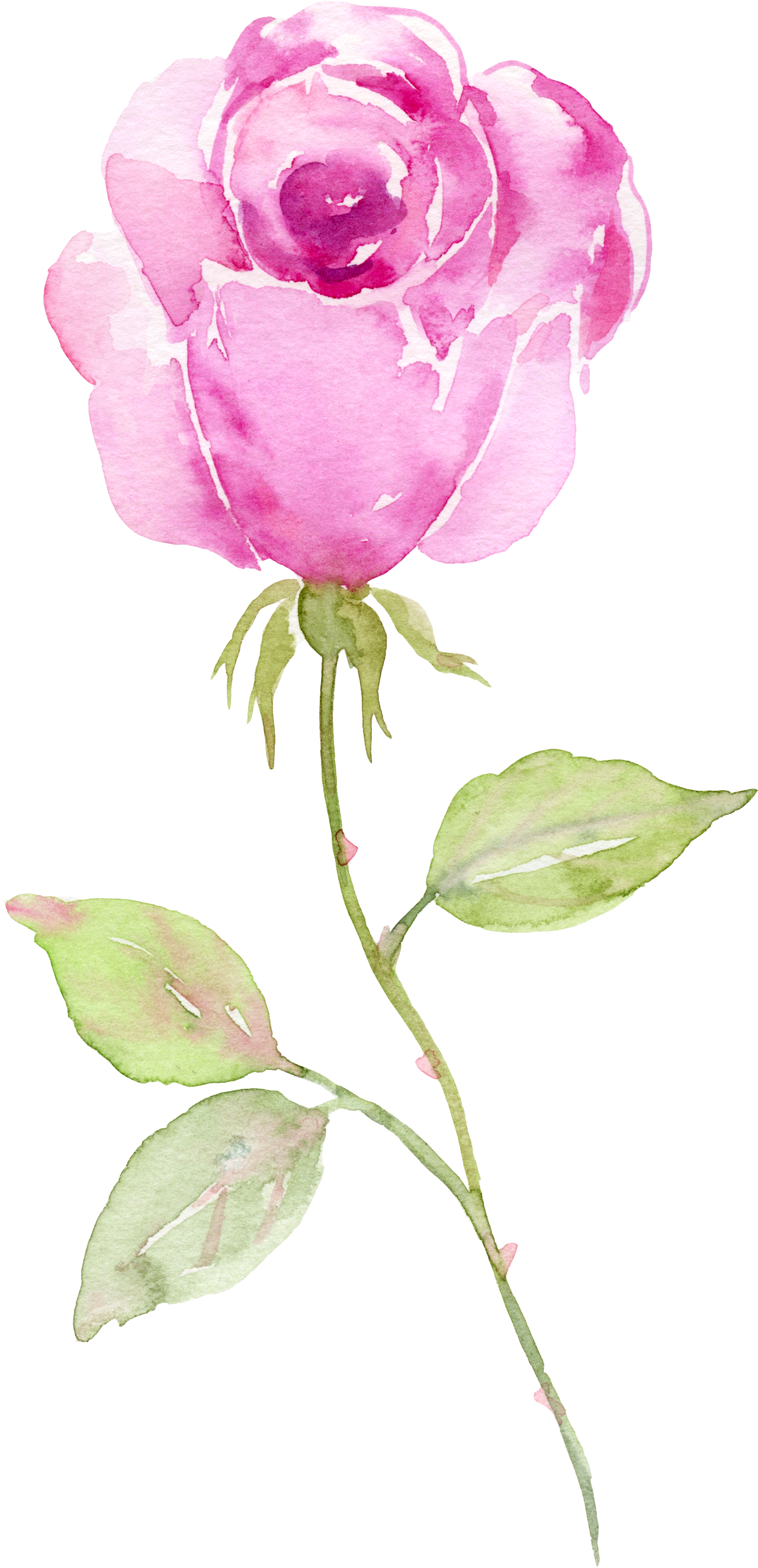 Watercolors - Foral Business Thank You Card (1347x2716), Png Download