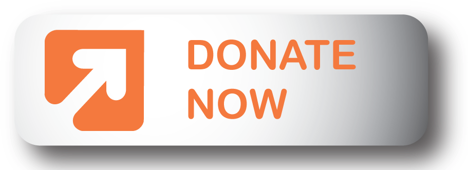 Donate Now Web Icon - Donate Now Icon Png (910x355), Png Download