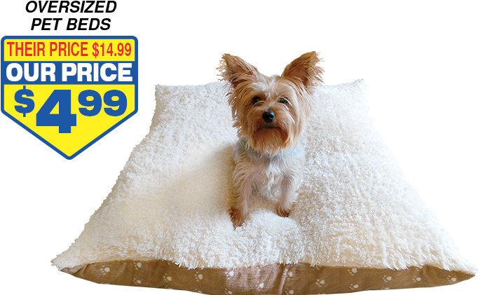 Pets 1 (750x500), Png Download