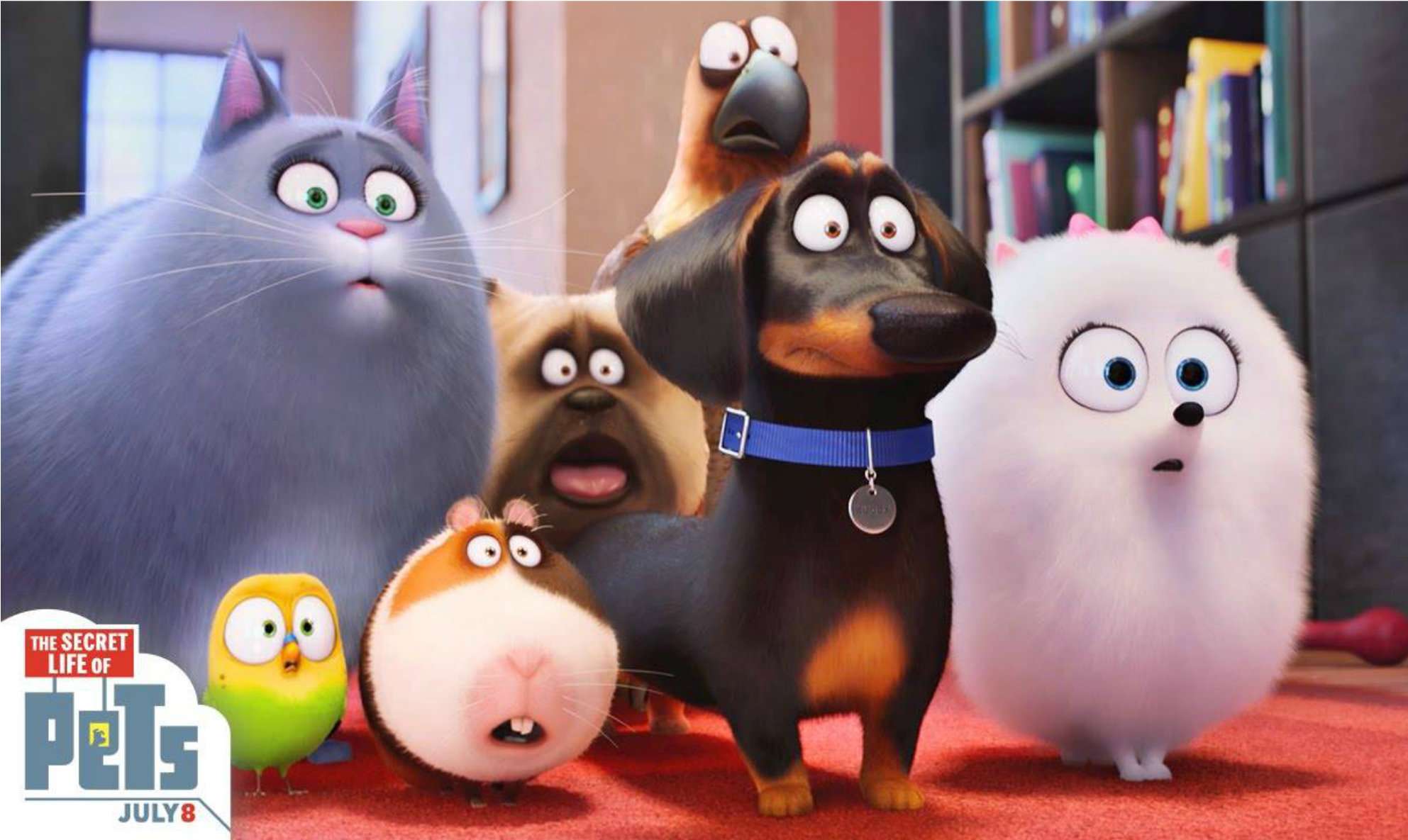 The Secret Life Of Pets (2000x2000), Png Download
