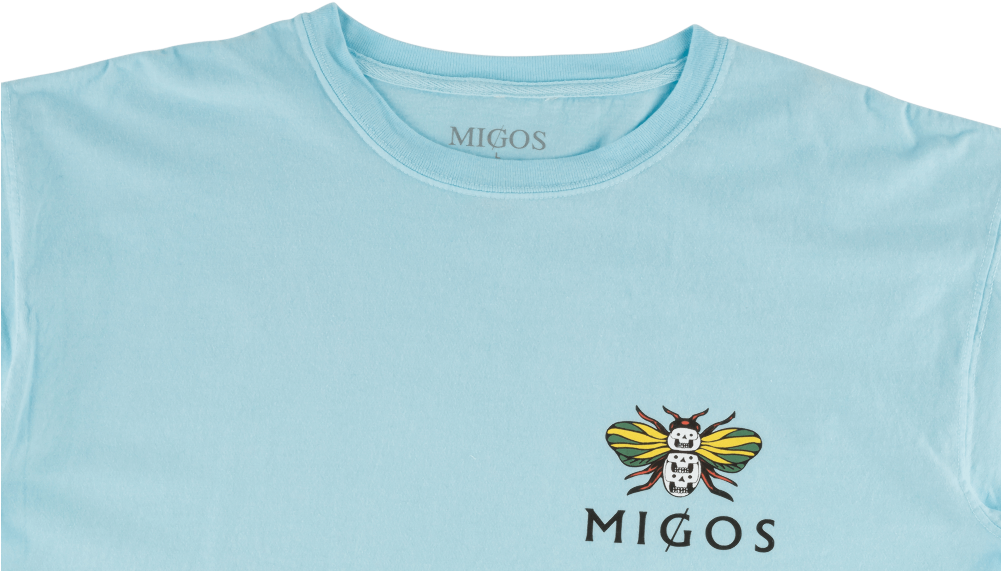 Hornet (1000x600), Png Download