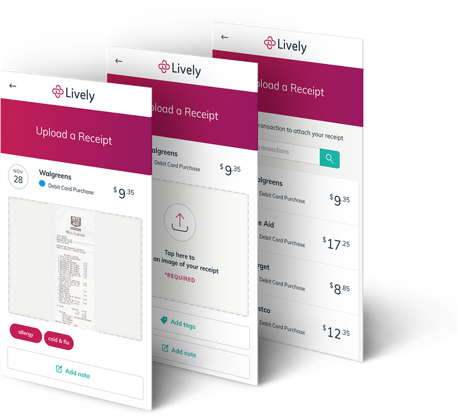 Images Of Example Receipts In Lively Dashboard - Document (1100x902), Png Download