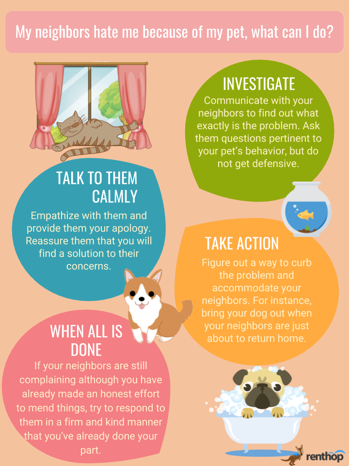 Loud Noises Made By Pets Is The Most Common Reason - Companion Dog (720x960), Png Download