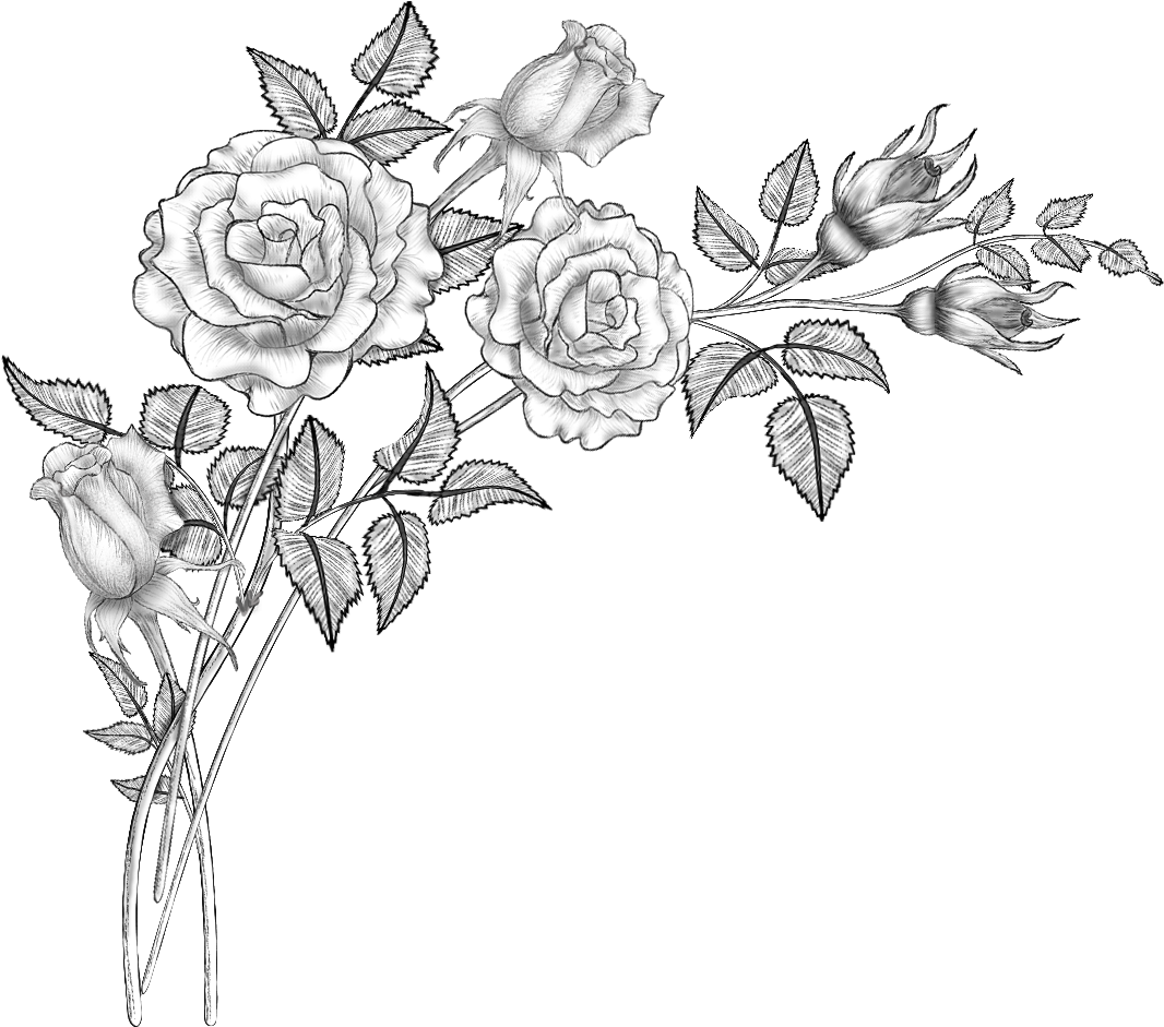 Floral Design Line Art Drawing Sketch - Flower Brushes (1214x956), Png Download