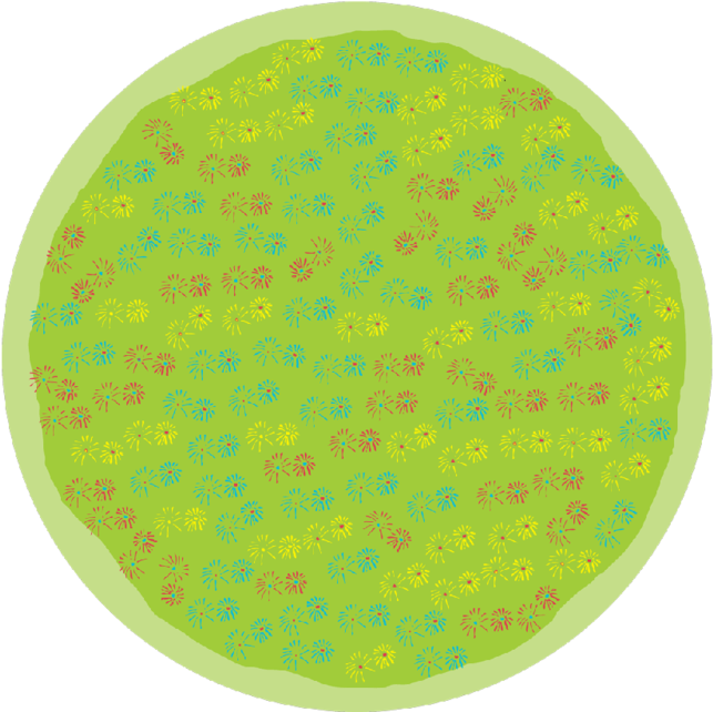 Flowers Round Placemat - Fc Steaua București (800x800), Png Download