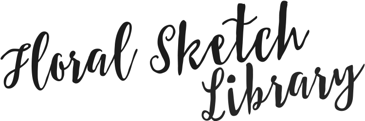 Floral Sketch Library - Portable Network Graphics (768x251), Png Download