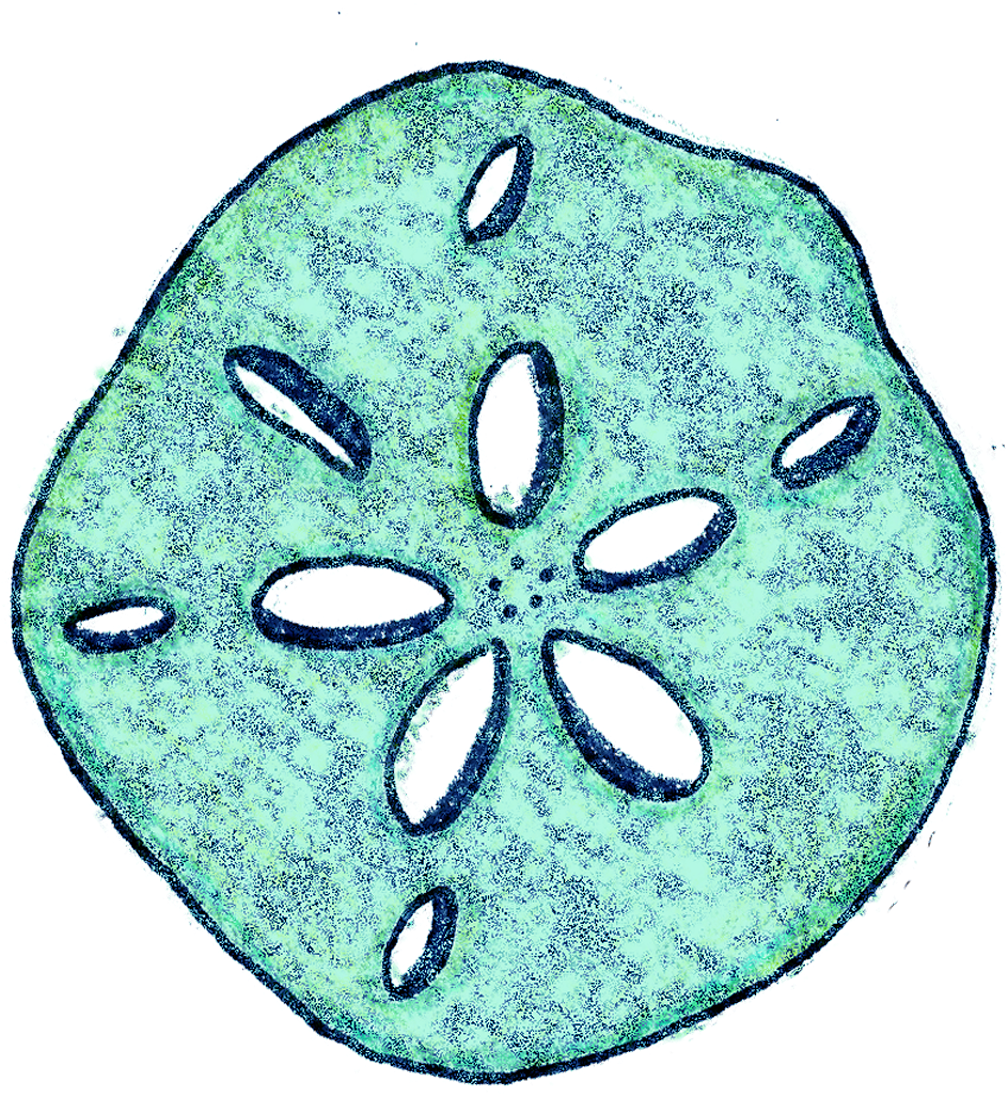 Bellamells On Society6 (1212x1212), Png Download