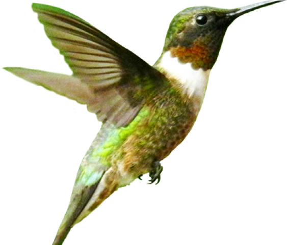 Portable Network Graphics (640x480), Png Download