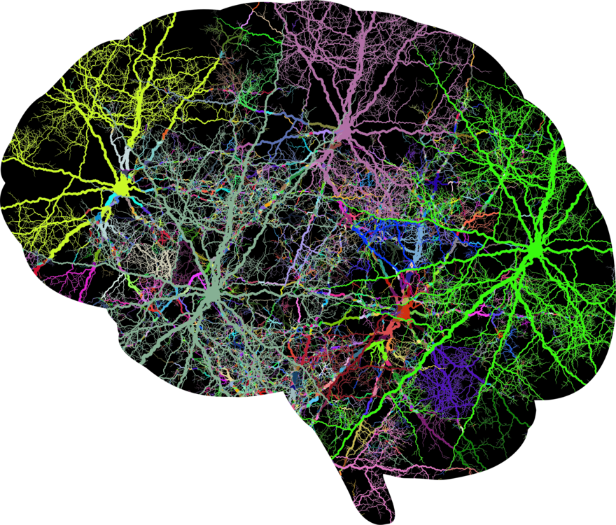Brain Lightning Electricity Skull Head - Human Head (880x750), Png Download