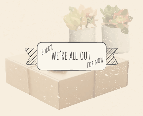 Rose (500x407), Png Download